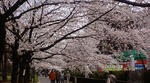 d0a81254.jpg