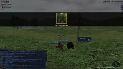 義賊の弓