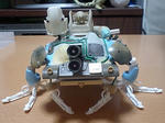 F09.jpg