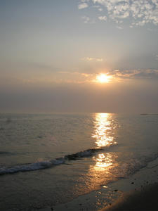 IMG_3522.jpg