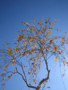 IMG_6314.jpg