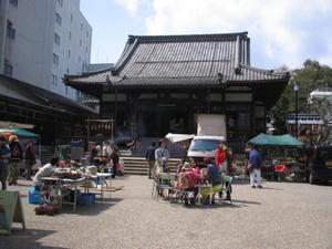 IMG_7985.jpg