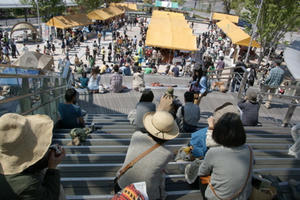 DSC00212.jpg