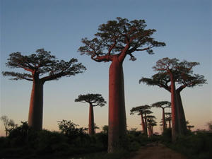 d0063814_9203937.jpg