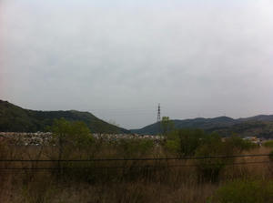 IMG_2796.jpg