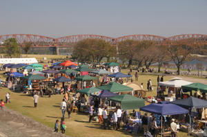 DSC00138.jpg