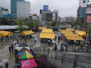 R0022206.jpg