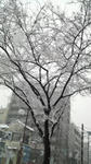 2008020914330000.jpg