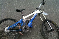 IMG_0217.PNG