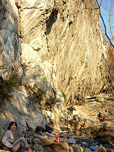 P1010557a.jpg