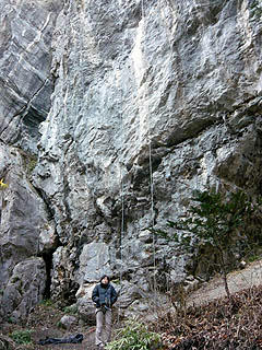 P1010575d.jpg