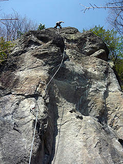 P1010676bd.jpg