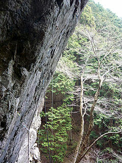 P1010720bd.jpg