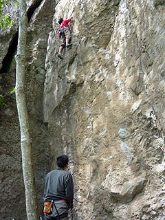 P1010781bd.jpg
