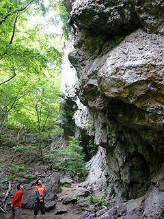 P1010789bd.jpg