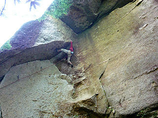 P1010947bd.jpg