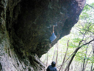 P1010992bd.jpg