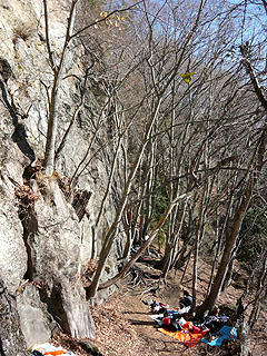 P1020061bd.jpg