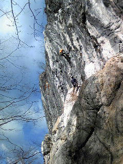 Image162bd.jpg