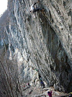 P1020091bd.jpg