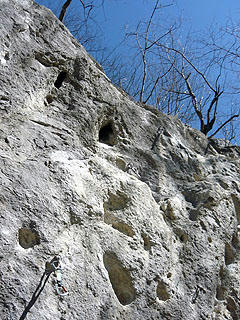 P1020146bd.jpg