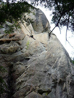 P1030684bd.jpg