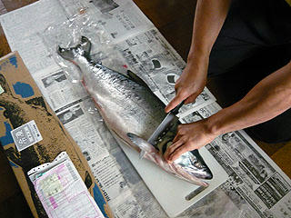 P1030797bd.jpg