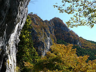 P1000824bd.jpg