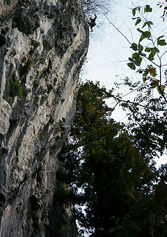 P1030817bd.jpg