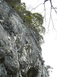 P1030984bd.JPG