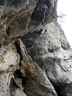 P1040145bd.jpg
