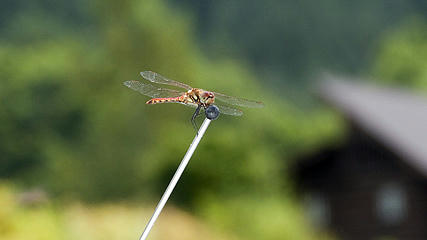 P110829abd.jpg