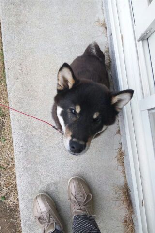 おやつちょうだい