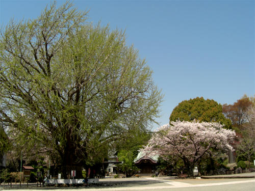 CIMG3407.jpg