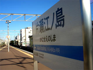 CIMG1250.jpg