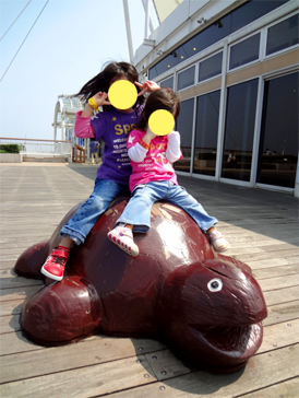 DSC00178.jpg