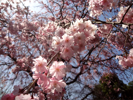 DSC00909.jpg