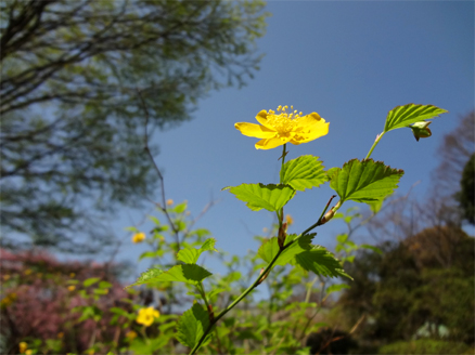 DSC00903.jpg