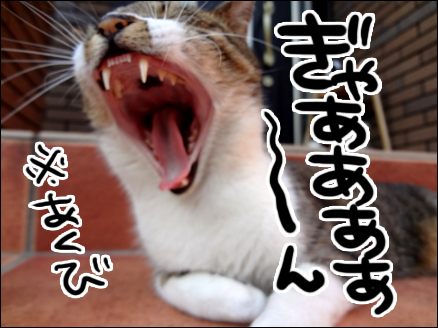 大あくび