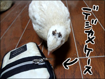 DSC01360.jpg
