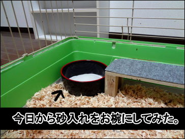 DSC01367.jpg