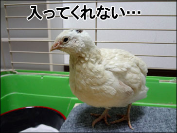 DSC01377.jpg