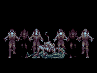 AVP_A.Warrior4.png