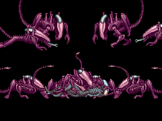 AVP_A.Arachnoid4.png