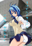 SRPN_noel_01.jpg