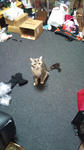 20110202_02.jpg