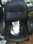 20110217_01.jpg