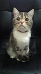 20110217_02.jpg