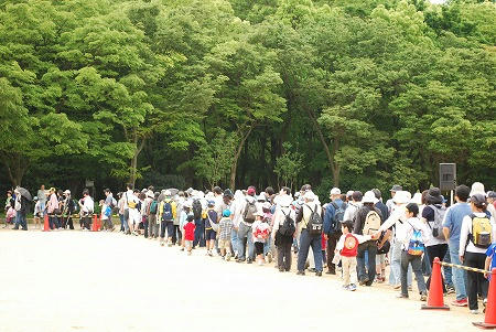 ハウスファミリーウォーク大阪城公園大会へ行ってきました。