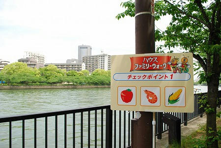 ハウスファミリーウォーク大阪城公園大会へ行ってきました。